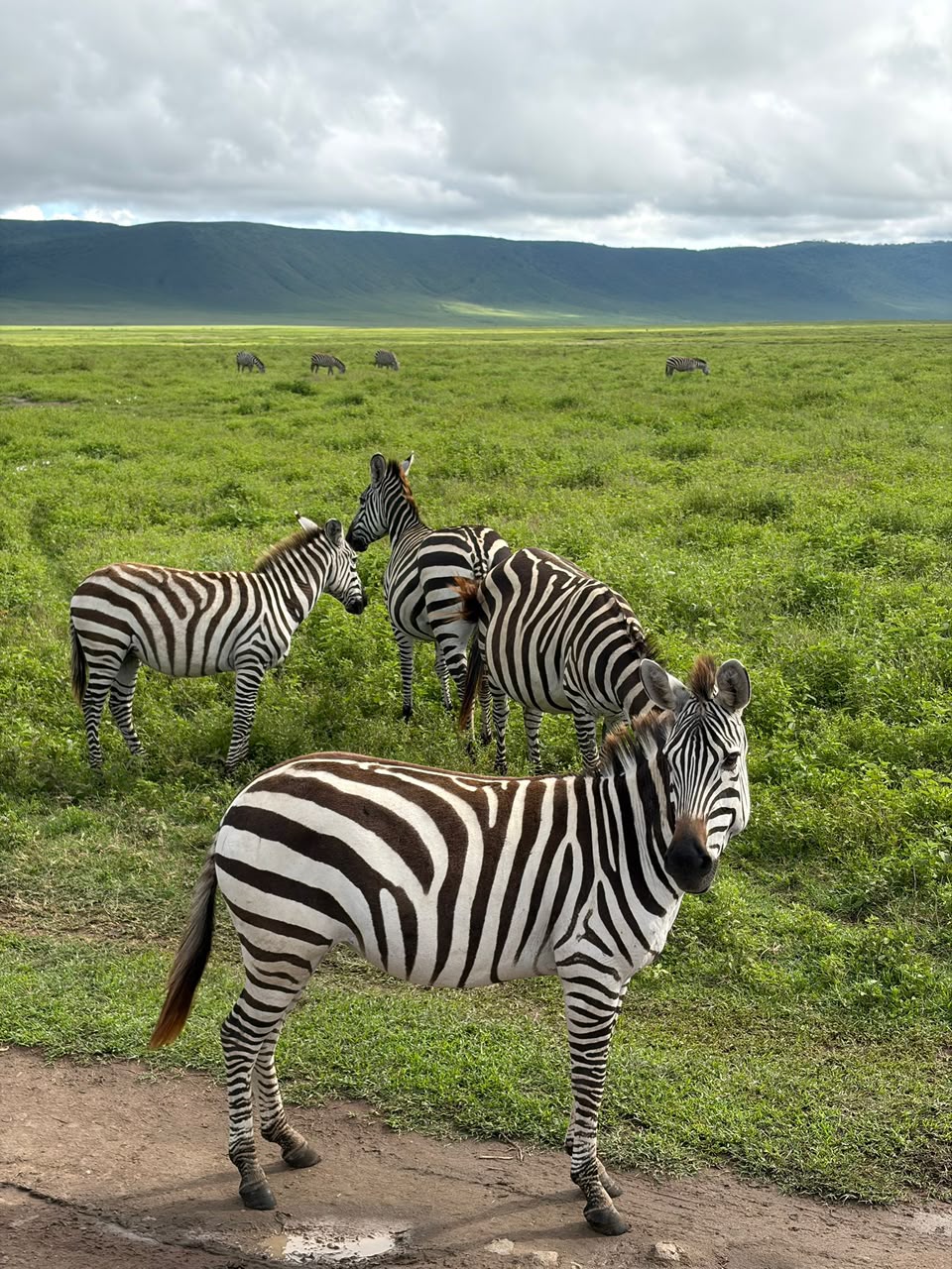 TARANGIRE NATIONAL PARK