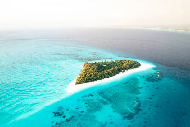 Mnemba Island snorkeling trip Zanzibar atoll
