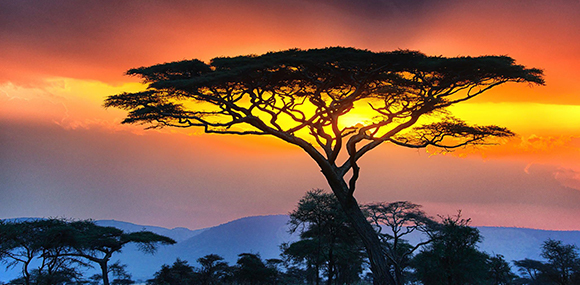 Serengeti National Park