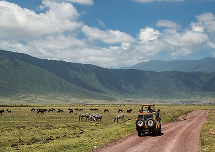 Ngorongoro Crater Day Trip from Arusha/Moshi