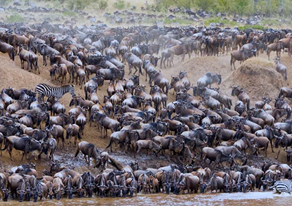 A Day Trip to Arusha National Park
