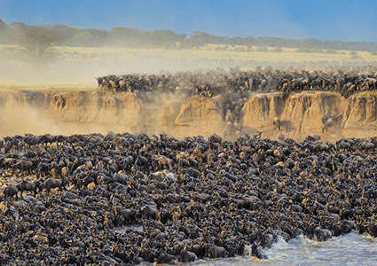 A Day Trip to Arusha National Park