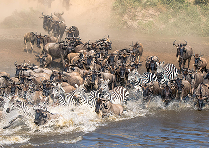 A Day Trip to Arusha National Park