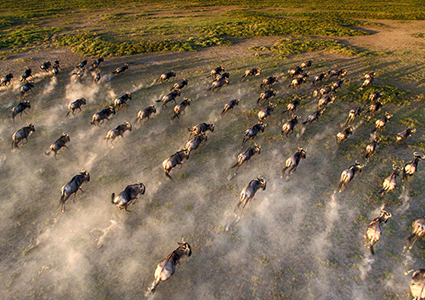 A Day Trip to Arusha National Park