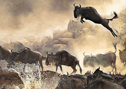 A Day Trip to Arusha National Park