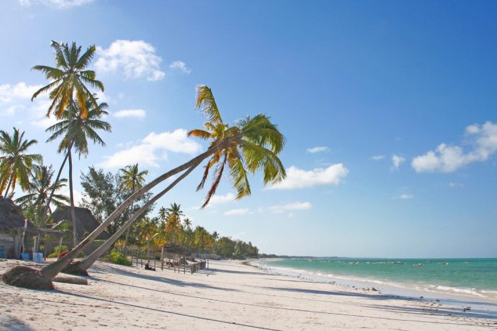 10-Day Honeymoon Safari & Zanzibar Escape